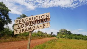 Avanza el plan de reforestación Crece Selva Misionera