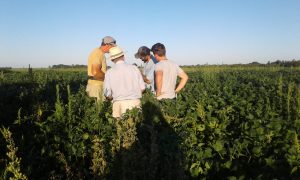 Otro modo de producción es posible, necesario y rentable