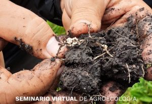 Se viene el Seminario Virtual De Agroecología
