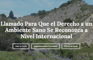¡Por el derecho a un ambiente sano!