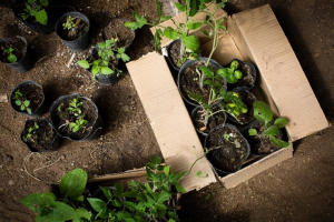 45 catequistas se capacitan en medio ambiente