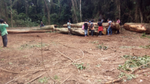 Preocupación por la situación de las comunidades de Campo Grande, en Misiones