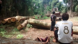 PREOCUPACIÓN POR CONFLICTO TERRITORIAL EN COMUNIDADES MBYA GUARANÍ
