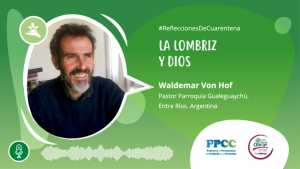 ¿Qué tiene que ver la lombriz con Dios?