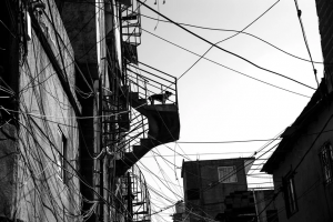 Quienes soñamos con un mundo mejor no queremos volver a una «normalidad»