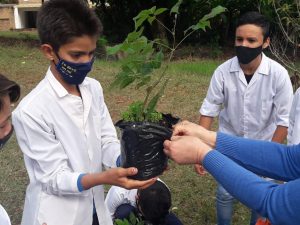 #CreceSelvaMisionera: Plantaron 100 árboles y ayudan a reforestar la Selva Misionera