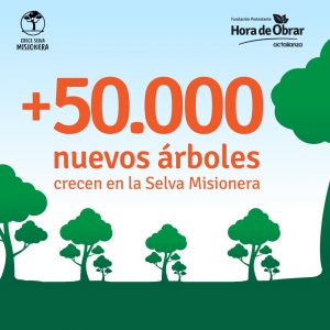 Ya se plantaron 50 mil árboles y se recuperaron 100 hectáreas de Selva Misionera