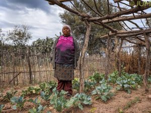 Pueblos indígenas y el llamado a un nuevo contrato social