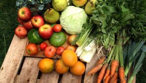 Se activaron redes de comercio justo y consumo responsable en Polvorines y Varela