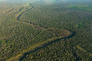 Carta abierta al gobierno de Chaco