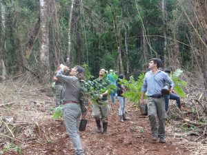 Hora de Obrar junto a la Universidad de Misiones restauran 10 hectáreas de selva