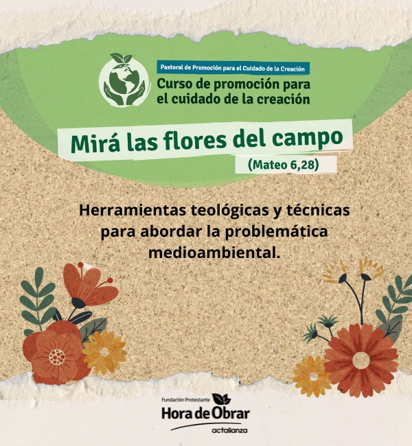 Curso virtual de promoción para el cuidado de la creación «Mira las flores del campo»