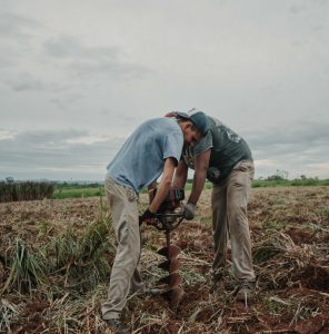 Iniciativa 10.000 x 1.000: un compromiso para la reforestación y la resiliencia climática