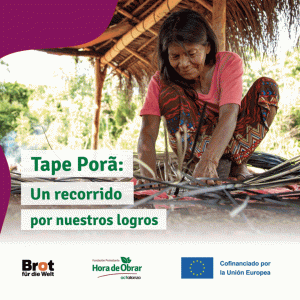 Qué es el proyecto Tape Porã y cómo mejoró la vida de 16 comunidades indígenas en Misiones