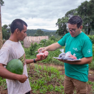 Comunidades mbya avanzan en producción agroecológica y fortalecen su soberanía alimentaria