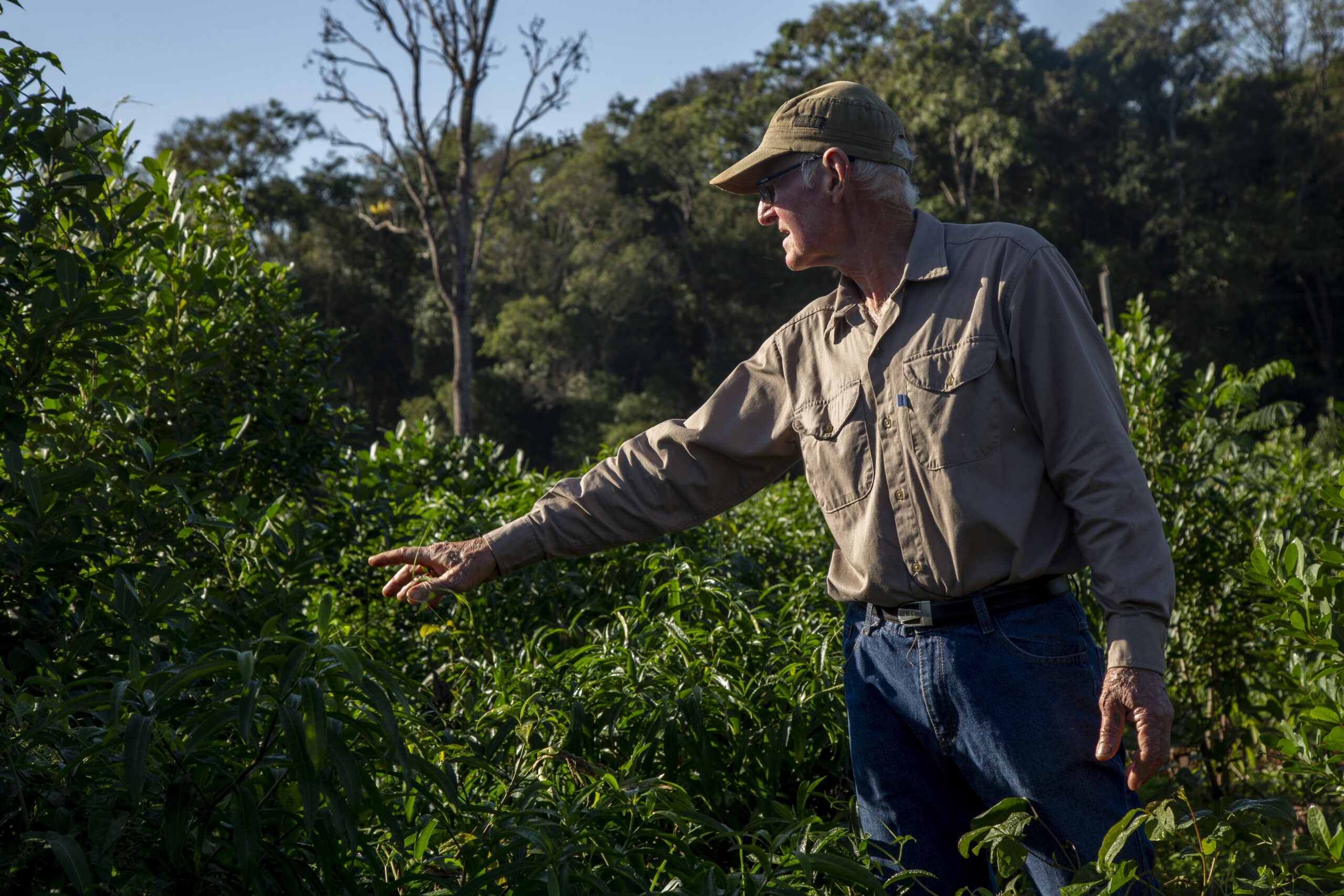 Crece Selva Misionera