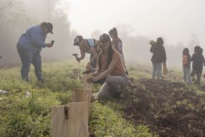 30 familias indígenas construyen autonomía productiva con cultivos de yerba y frutales 