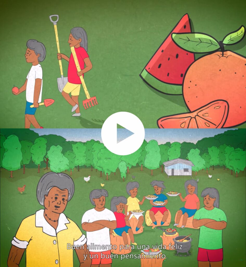 Videos Techaîve Recorã. Consejos saludables