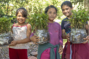 Hora de Obrar impulsa una entrega récord de árboles nativos en Misiones