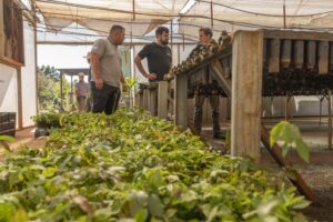 Alianzas que hacen bosque: Hora de Obrar suma empresas para reforestar la Selva Misionera