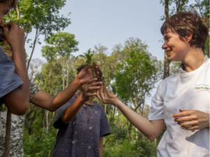 Empresas aportan a la reforestación de la selva misionera: Plantarse y Hora de Obrar se unen para movilizar donaciones