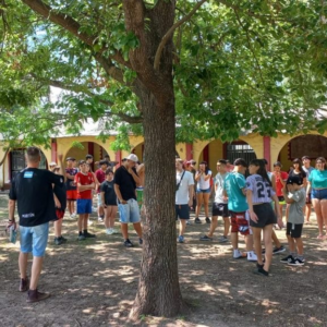Celebrar la vida: un campamento de fe y comunidad en el Distrito Metropolitano 