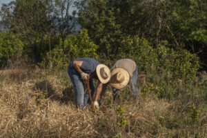 Hora de Obrar celebra un año plantando junto a El Mueble
