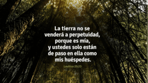 La tierra no es mercancía
