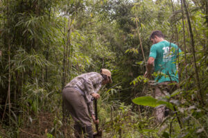 El modelo colaborativo de Hora de Obrar con UNAM para reforestar la Selva Misionera