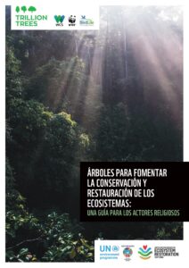 Cómo cultivar árboles con impacto y sentido: 6 pasos prácticos para comunidades de fe