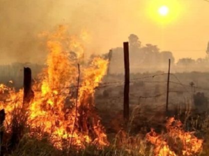Consejos prácticos para reducir el riesgo de incendios este verano